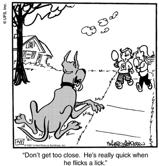marmaduke